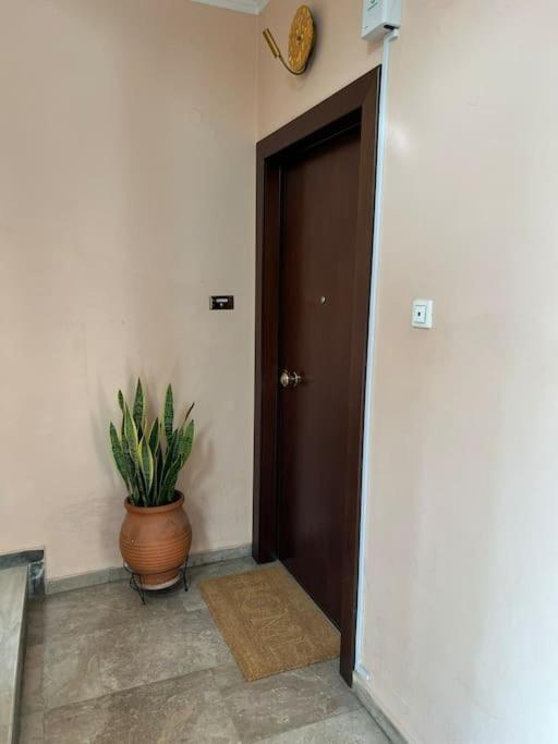 Myrto-Apartments-アテネ エクステリア 写真